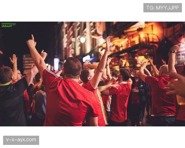 威尔士球迷热情 威尔士球迷热情